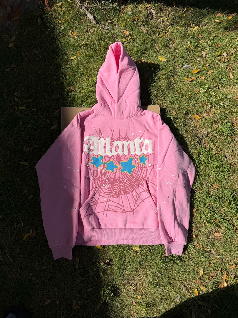 Pink Atlanta Graphic Hoodie Jacket